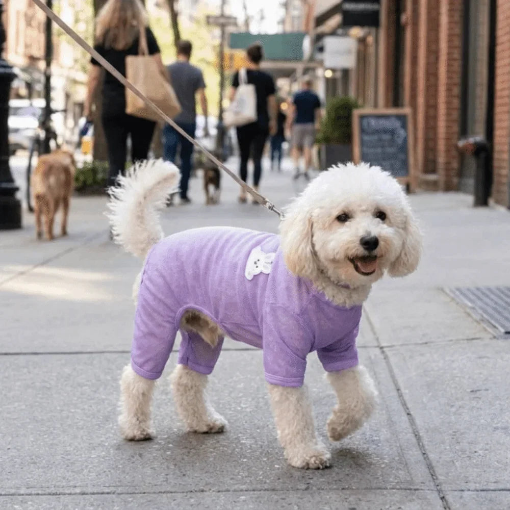 Mesh Dog Sun-Proof Vest | Breathable Summer Pet Clothes & D-Ring