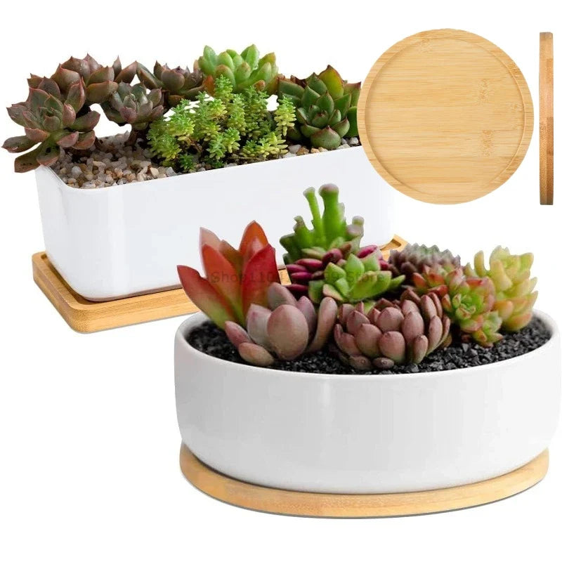 Bamboo Storage Trays – Bathroom, Kitchen & Organizer Set