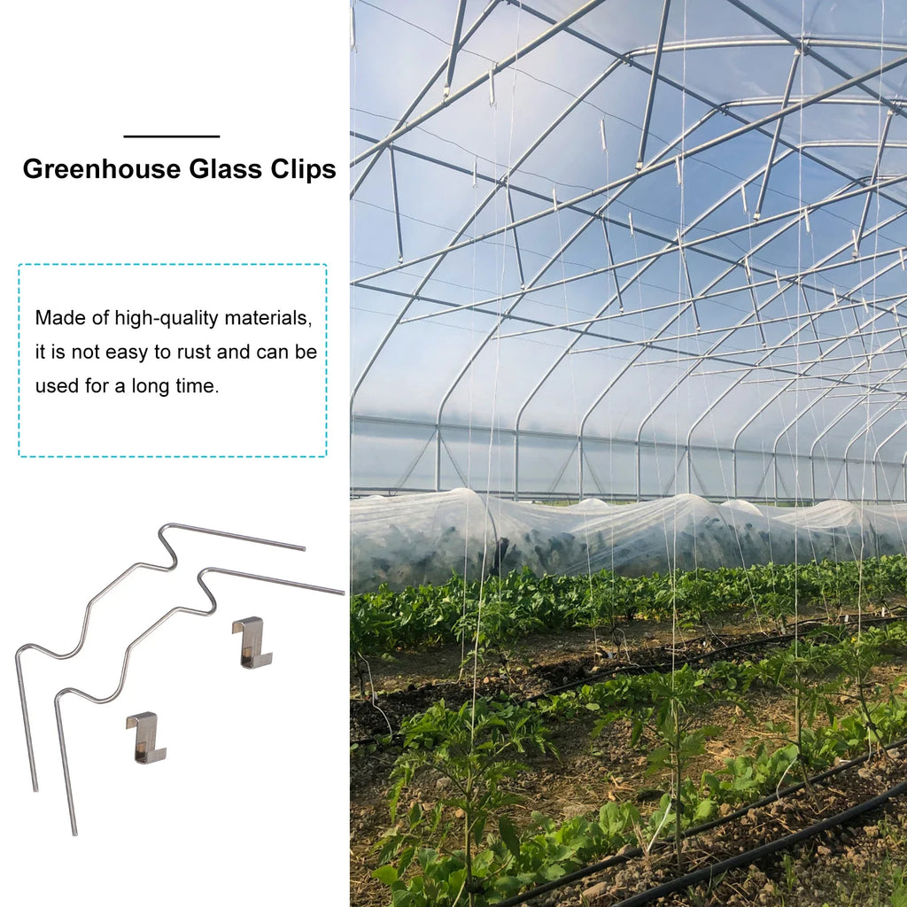 Greenhouse Glass Clamps Stainless Steel Clip Frame W Clips Fixing