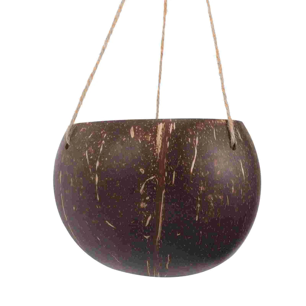 Large Hanging Planter Coconut Shell Flowerpot Wall Mounted Basket