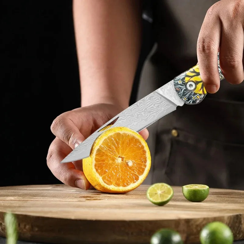 Damascus Steel Folding Pocket Knife – Sharp Blade, Resin Handle