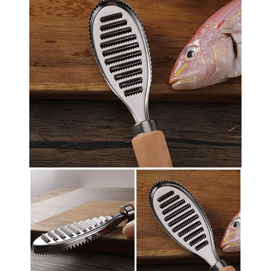 Stainless Steel Fish Scaler with Wooden Handle | Kitchen Tool
