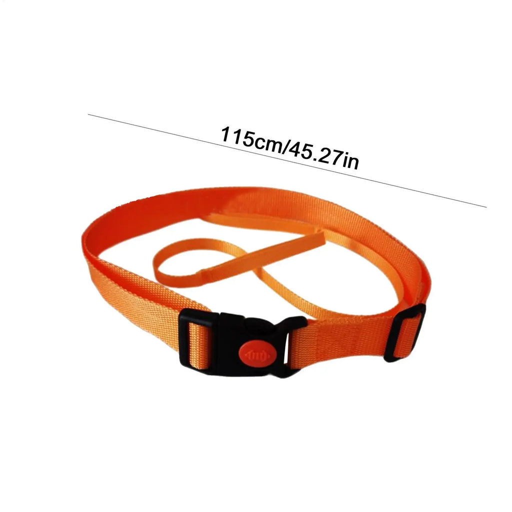 Swim Training Belt & Resistance Tether Cord | Pool Workout