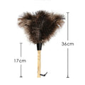 Ostrich Feather Duster Wooden Handle – Anti-Static Home Duster