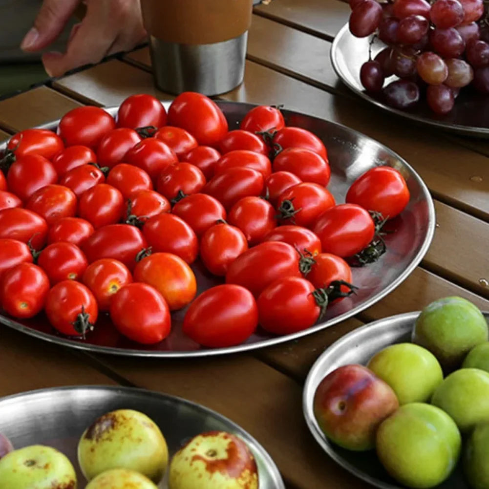 Stainless Steel BBQ Plates | Korean Grill Picnic Camping Dish