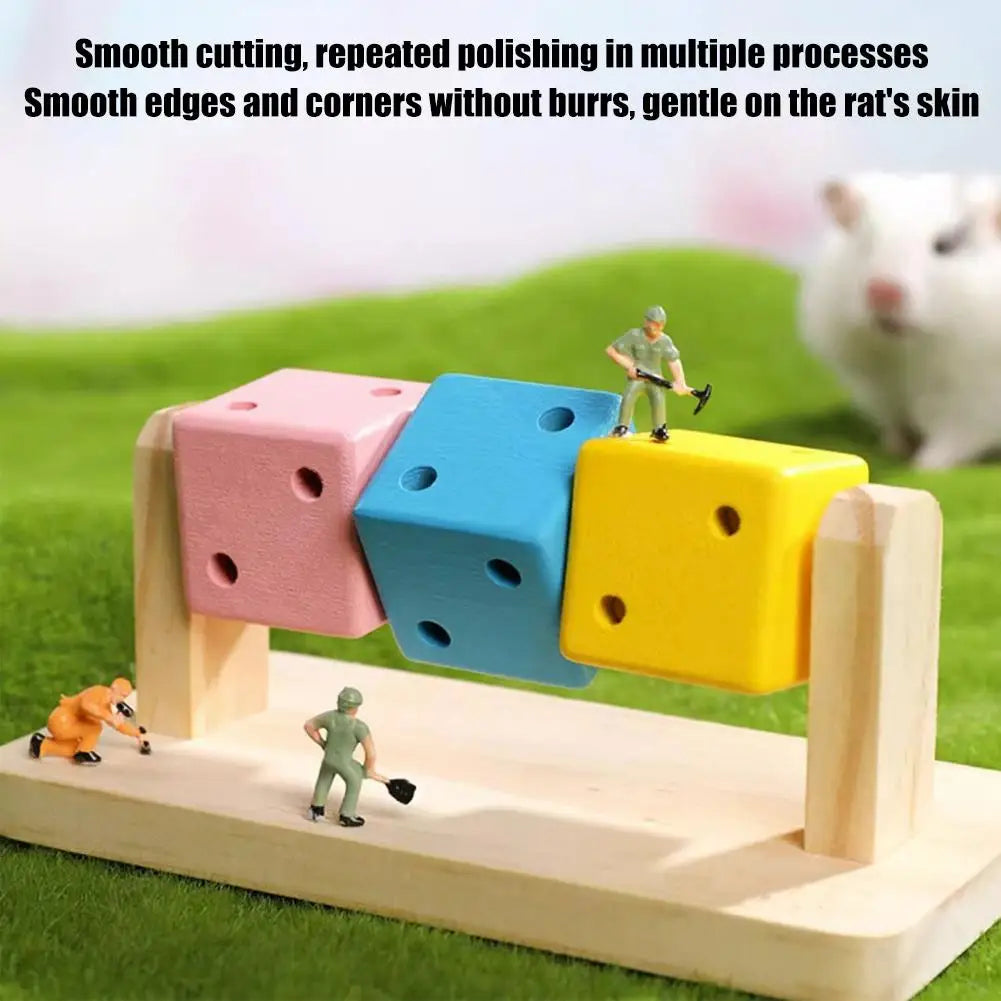 Hamster Fitness Cube – Colorful Wooden Activity Toy for Small Pets