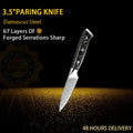 Damascus Knife Set VG10 67-Layer | Chef, Santoku & Boning