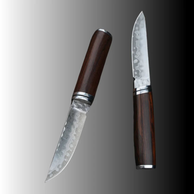 Damascus Fixed Blade Hunting Knife | 10Cr15MoV Steel 3-Inch