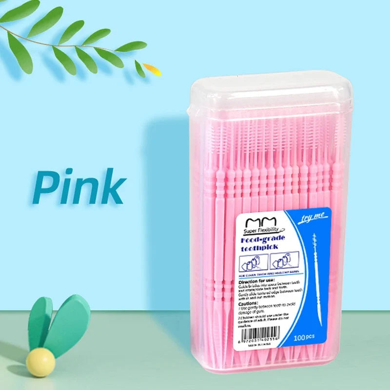 100-Pack Double Head Dental Toothpick Brush & Floss Picks