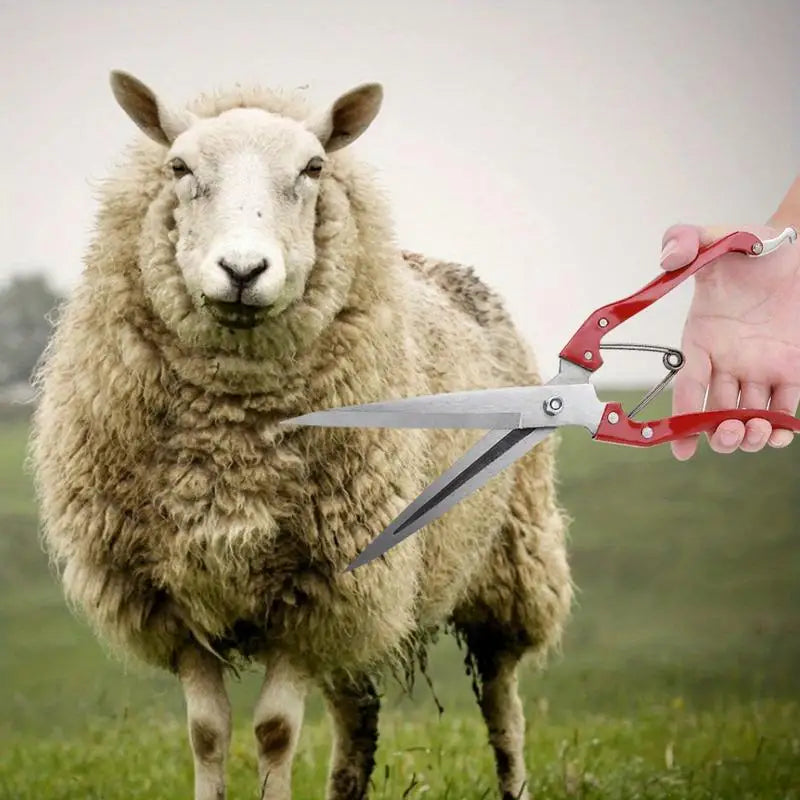 Manual Spring-Loaded Sheep Shear | Carbon Steel Wool Scissor