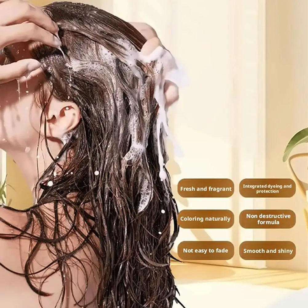 Plant-Based Hair Color Shampoo 210ml – Natural Long-Lasting Dye