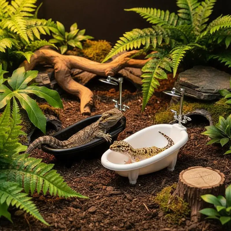 Mini Reptile Bathtub with Faucet | Gecko & Bearded Dragon Bowl