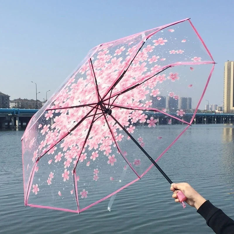 Cherry Blossom Transparent Trifold Umbrella | Korean Style