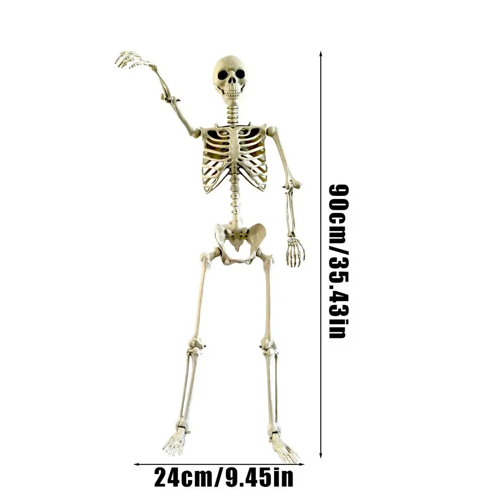 Life-Size Halloween Skeleton with Posable Joints | Haunted Decor