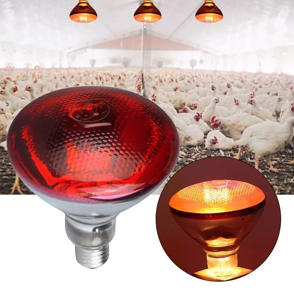 Infrared Heat Lamp 100–275W Quartz Glass E27 Breeding Bulb