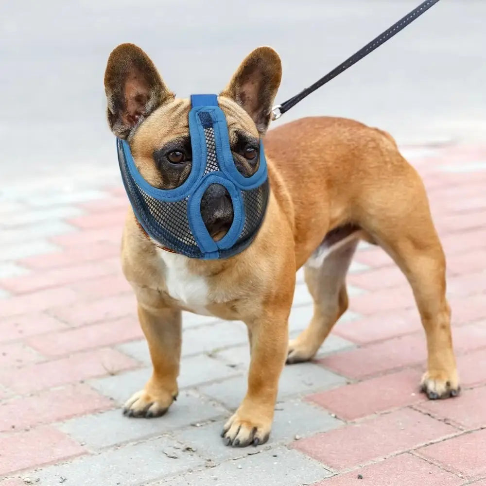 Breathable Mesh Dog Muzzle – Anti-Chew & Anti-Bark Cover