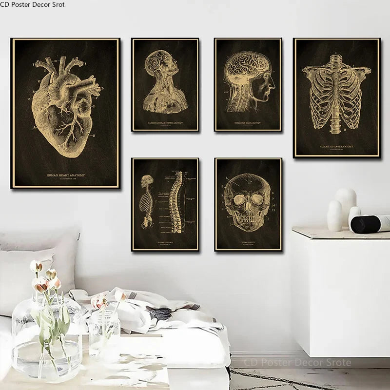 Anatomical Skeleton Vintage Kraft Paper Poster | Medical Wall Art