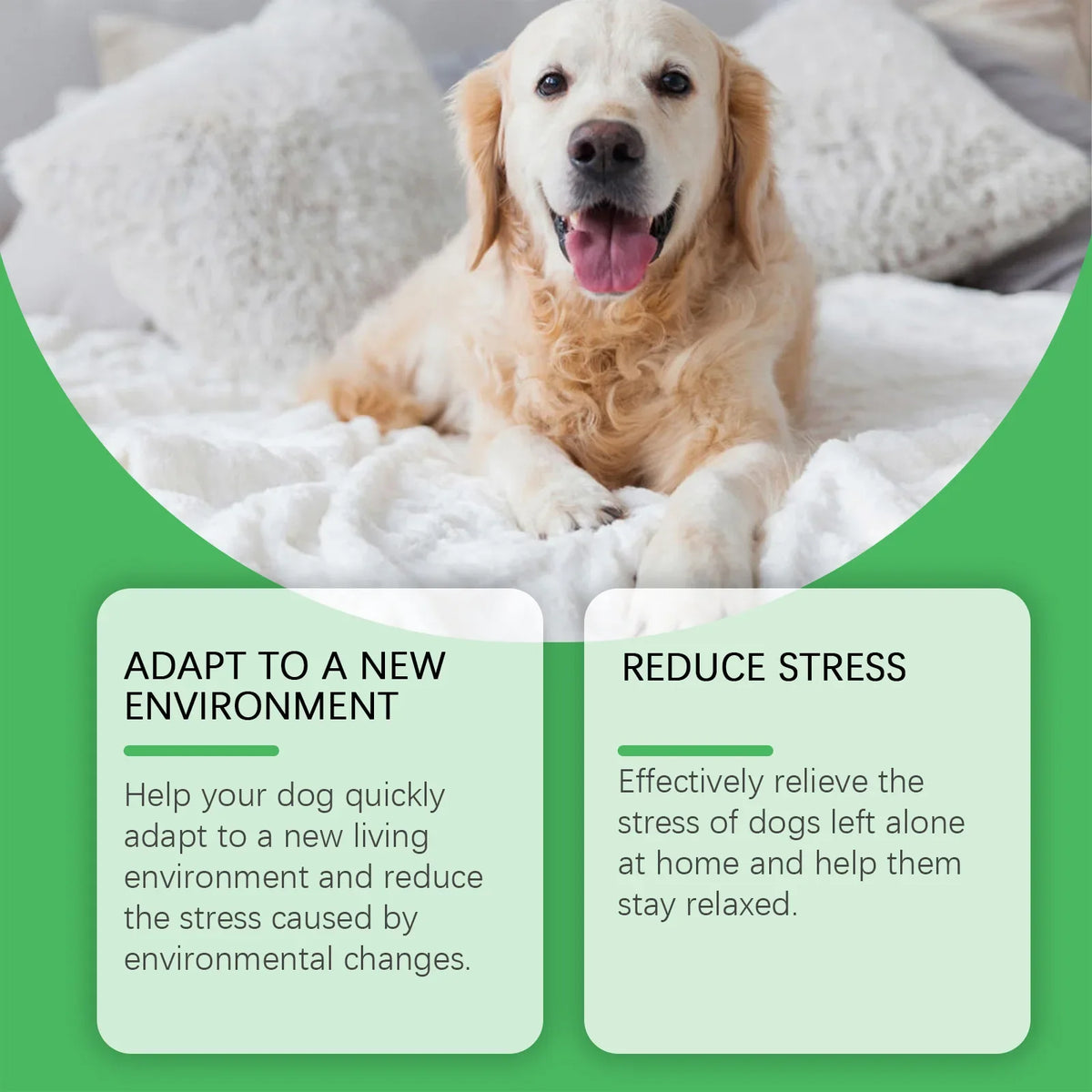 Pet Pheromone Calming Diffuser & Spray for Cats & Dogs