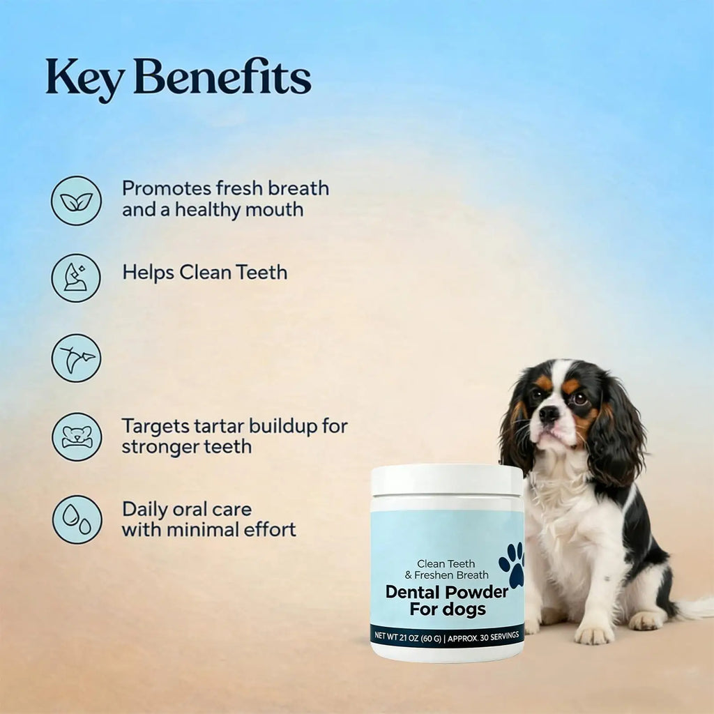 Natural Dog Tooth Powder 60g – Dental & Breath Care for Dogs