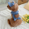 Cat Tank Top & Sun Hat Set – Soft Breathable Small Pet Outfit