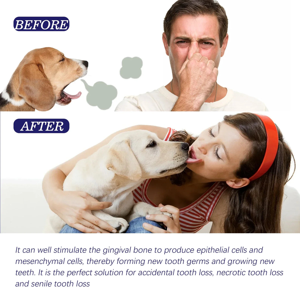 YEGBONG Pet Toothpaste – Dog & Cat Whitening Oral Care 50g