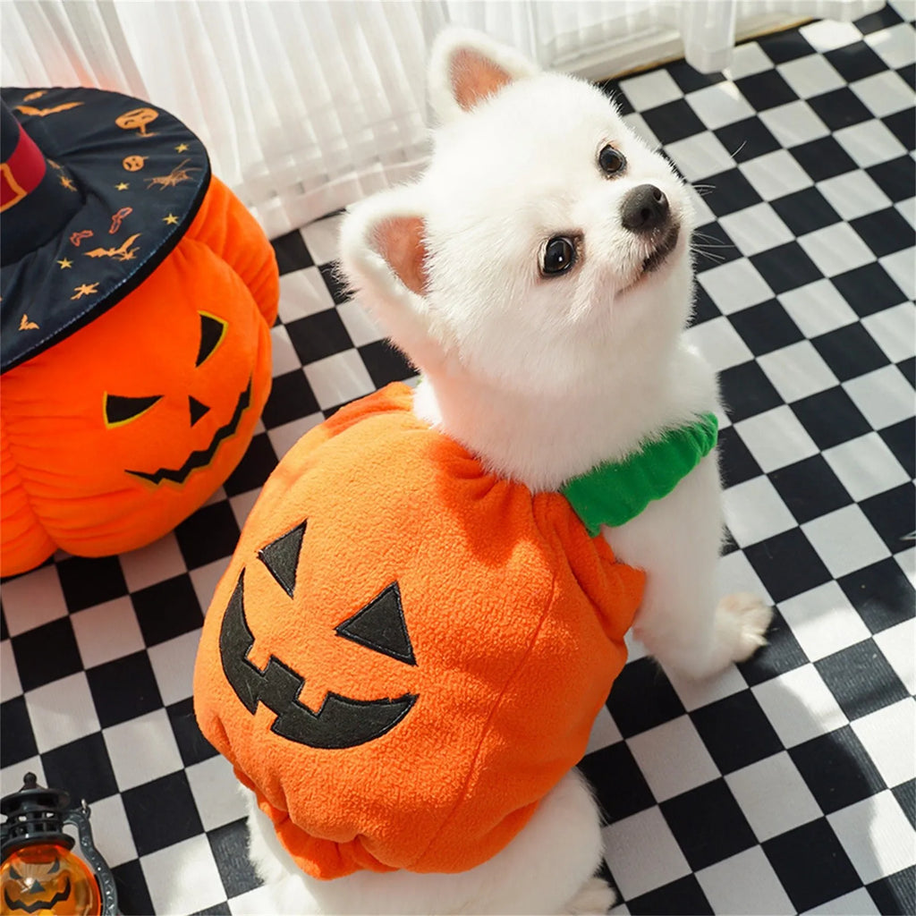 Halloween Pumpkin Costume for Dogs & Cats | Funny Pet Outfit