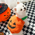 Halloween Pumpkin Costume for Cats & Small Dogs – Funny Pet Outfit