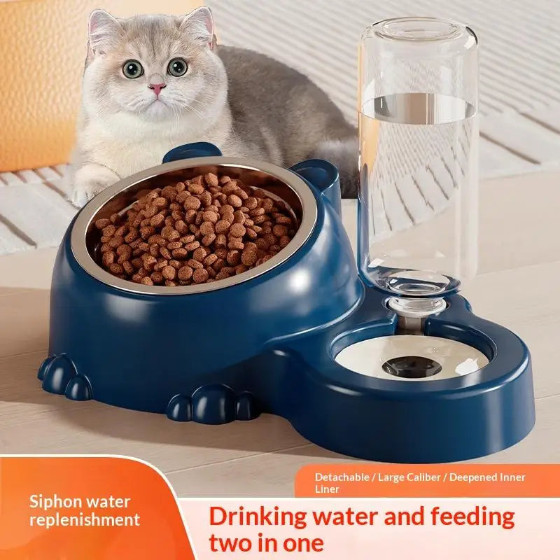 2-in-1 Tilted Pet Bowl & Auto Water Dispenser for Cats & Dogs