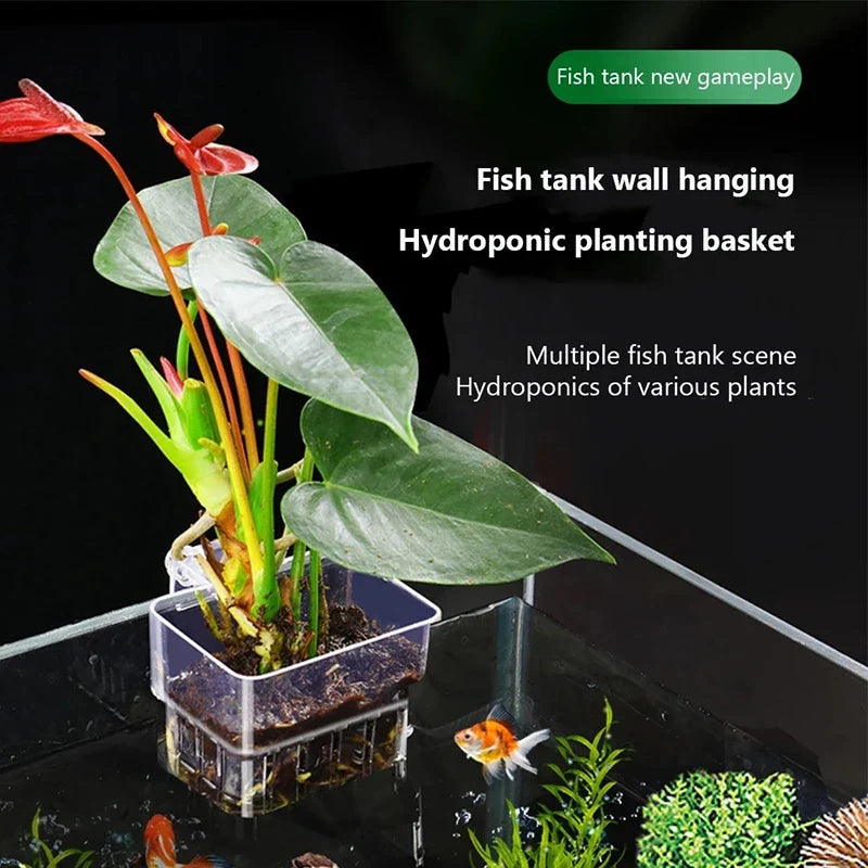 Wall-Mounted Aquarium Planter Cup – Fish Tank Plant Holder