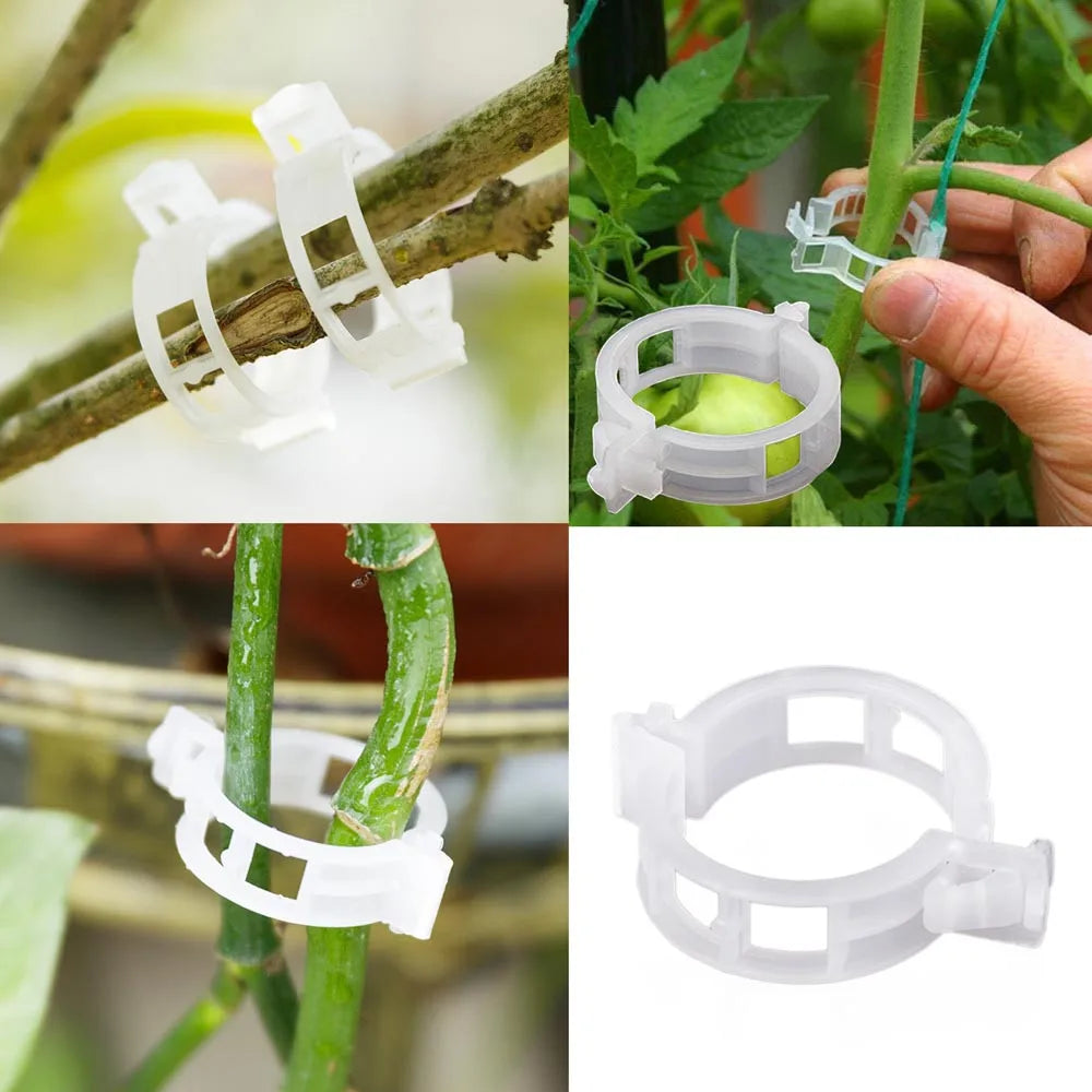 100PCS Reusable Plastic Plant Clips – Tomato & Vine Support