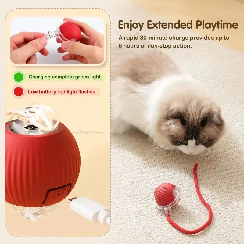Electric Auto-Rolling Interactive Cat Ball Toy | USB Rechargeable