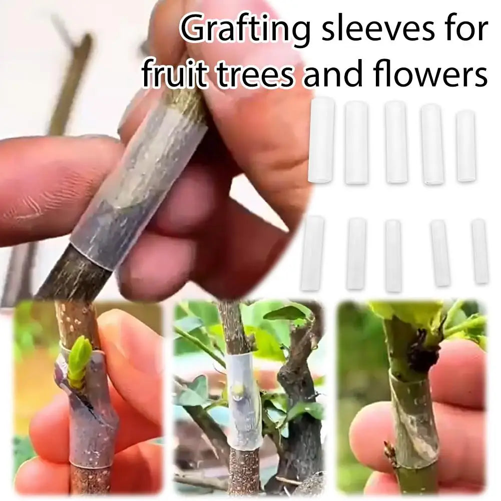 50-Pack Grafting Sleeves – Tomato, Eggplant & Fruit Trees