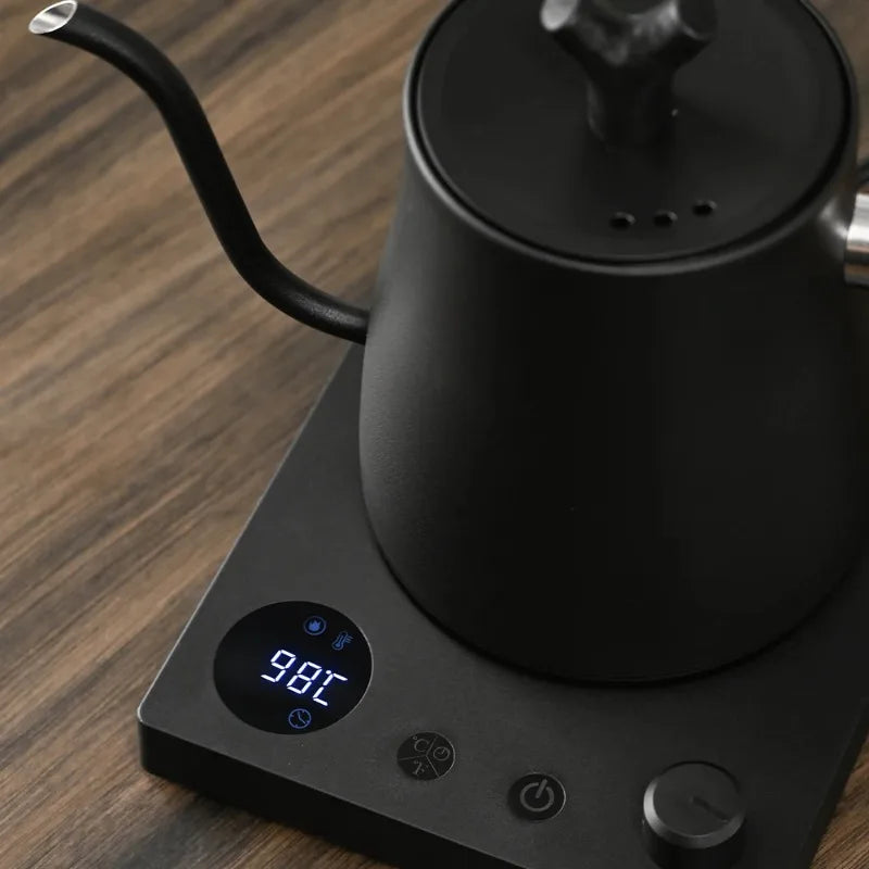 1000W Gooseneck Electric Kettle 1L | LED Temp Control, Stainless