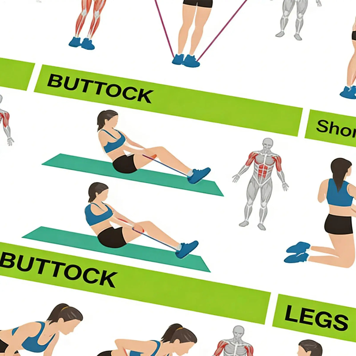 Resistance Band Workout Poster – Home Gym Exercise Guide