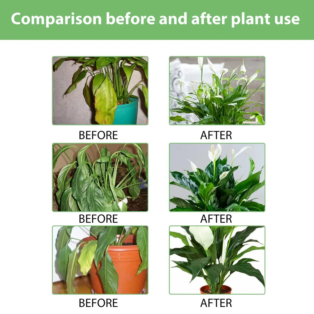 MOONSPRY Rooting Booster Liquid Fertilizer | Hydroponic Plants