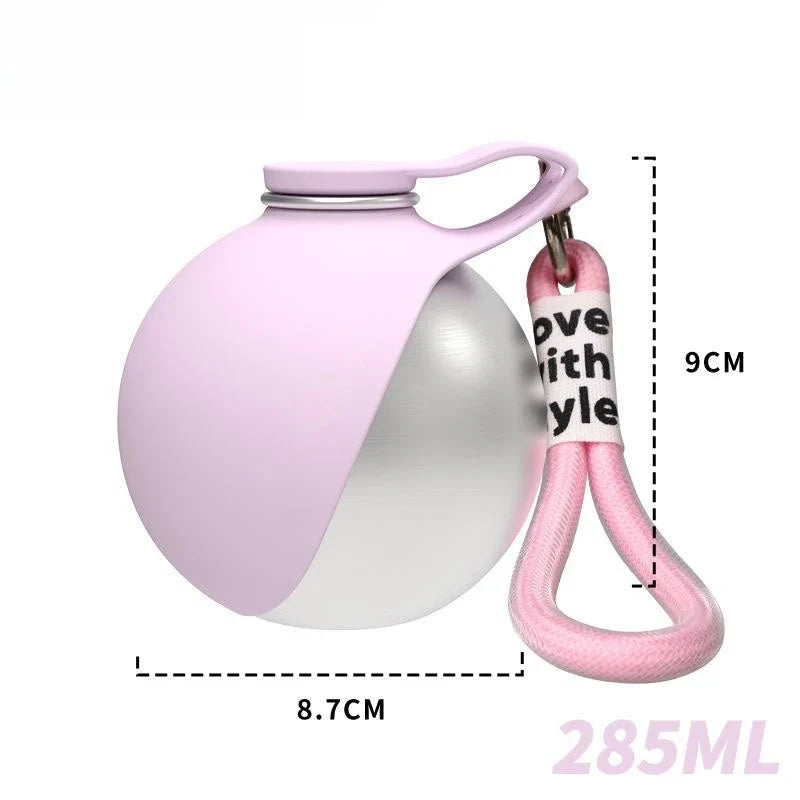 Portable Stainless Steel Pet Water Bottle with Silicone Bowl