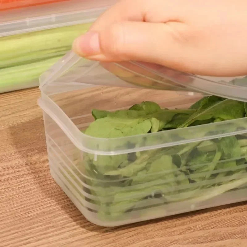 1 Fresh Box Refrigerator Storage Boxes Scallions Food Container