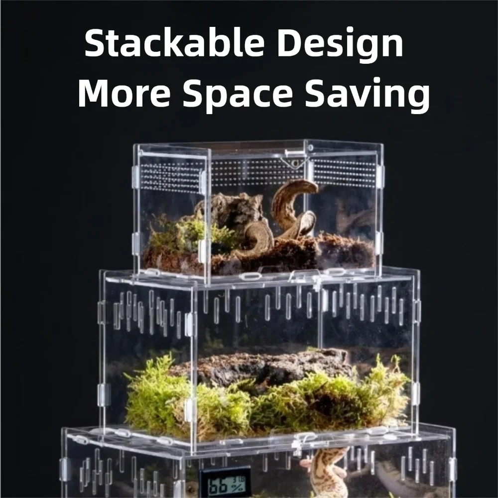 Durable Acrylic Reptile Habitat Clear Multiple Spider Feeding Case