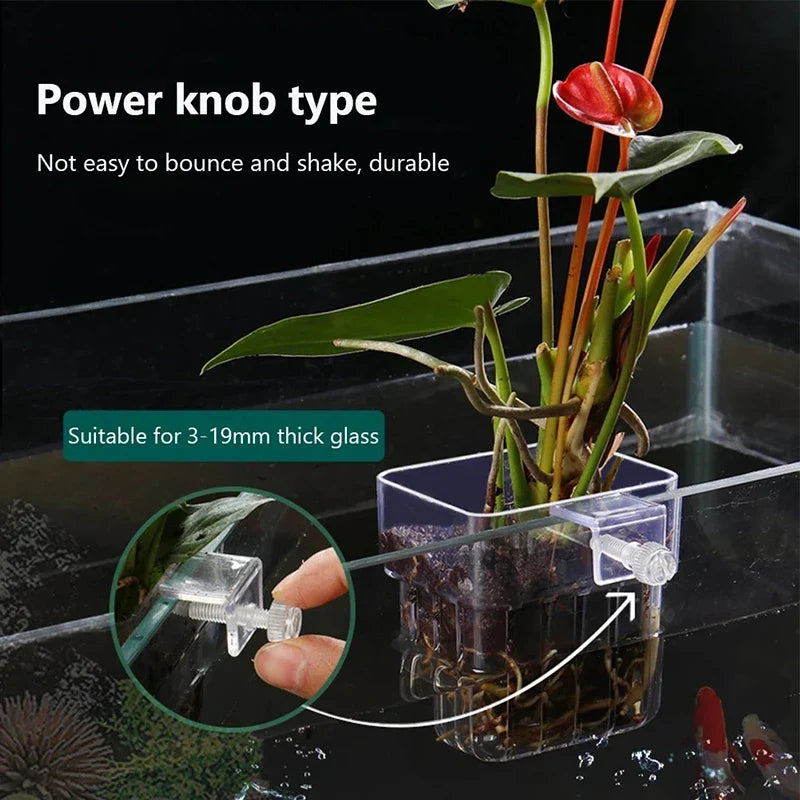 Wall-Mounted Aquarium Planter Cup – Fish Tank Plant Holder