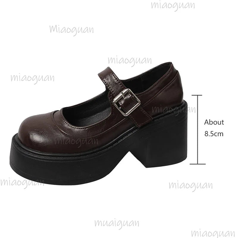 Women's Goth Chunky Platform Mary Jane Pumps | Black & Brown