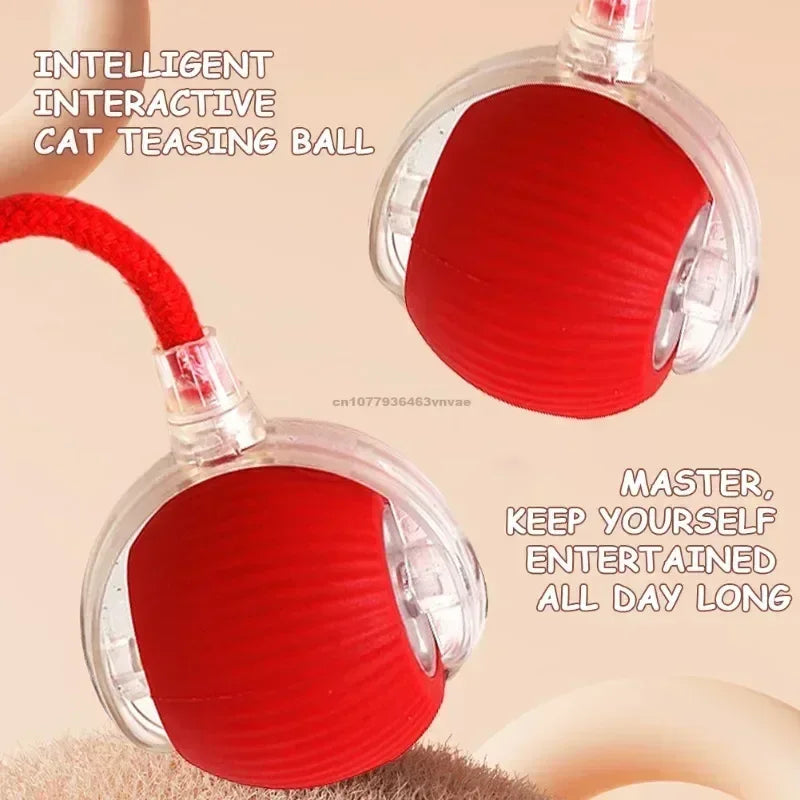 Electronic Auto-Rolling Interactive Cat Ball Toy | USB Rechargeable