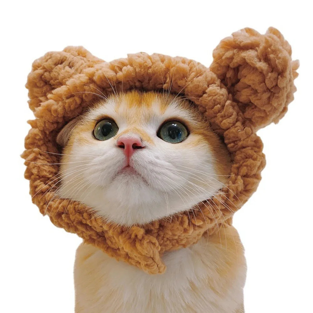 Internet Celebrity Pet Cat Lion Head Rabbit Ears Frog Bear Hat Funny
