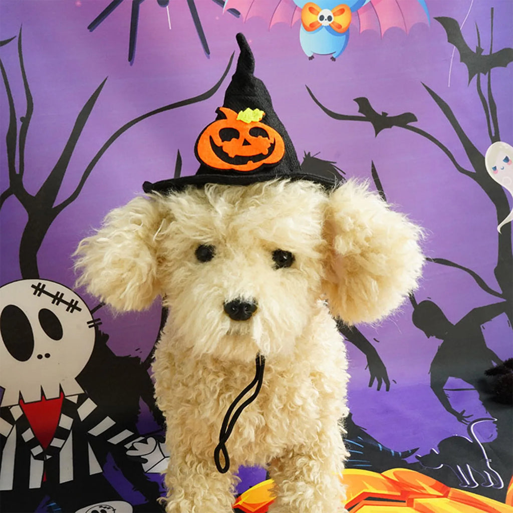 Halloween Witch Hat for Dogs & Cats – Spider Web Pet Costume