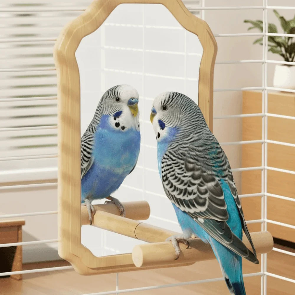 Wooden Bird Mirror Perch – Detachable Parrot Toy | Bite-Resistant