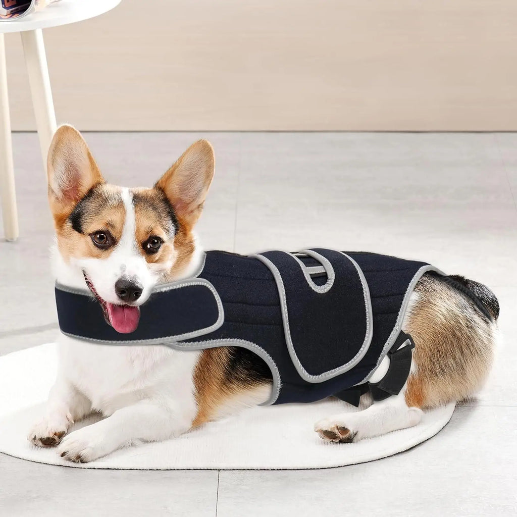 Adjustable Dog Back Brace Spinal Support Harness | Small Breeds