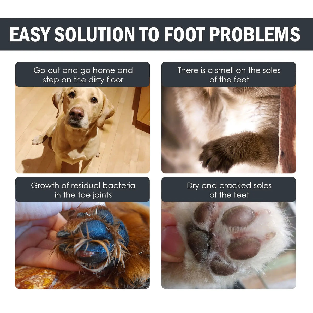 Yegbong Waterless Pet Paw Cleaner Foam for Dogs & Cats 100ml