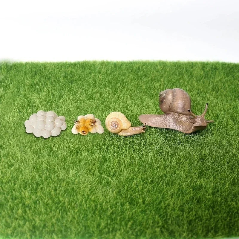 Realistic PVC Snail Animal Model | Kawaii Miniature Garden Decor