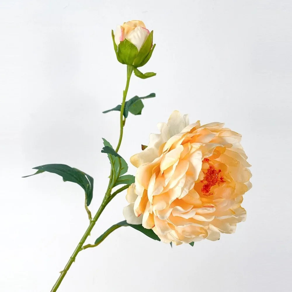 Silk Peony Artificial Flower Branch 68cm | 2 Heads Real Touch