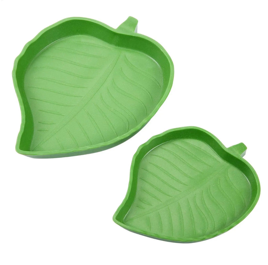 Leaf Reptile Food Water Bowl Flat Drinking Eating Dish Tortoise