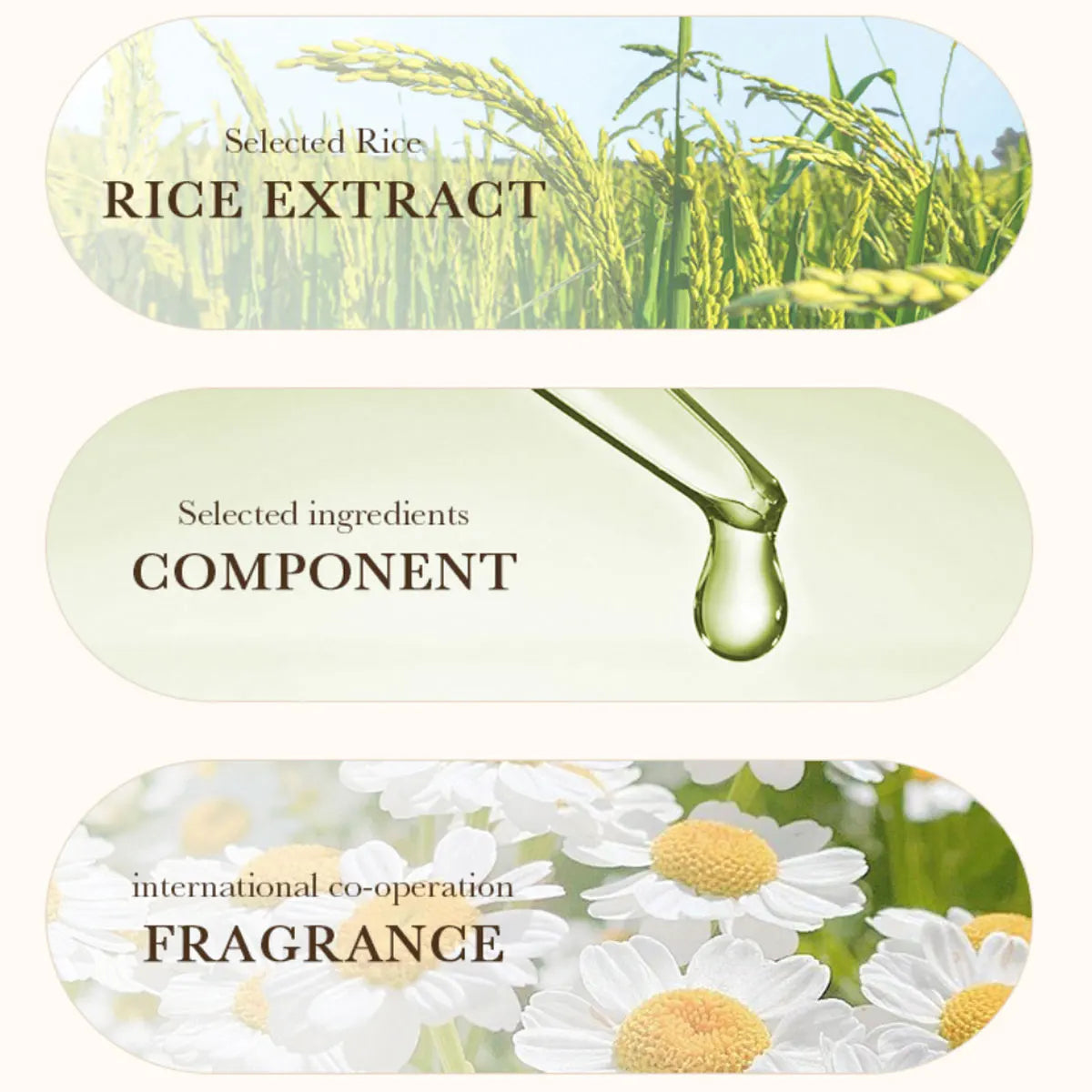 Rice Conditioner 500ml – Repairs, Volumizes & Moisturizes Hair